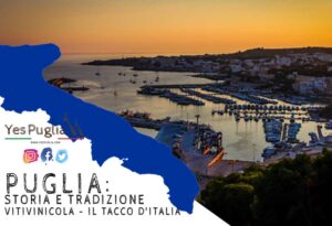 YesPuglia | L'Enoteca online più innovativa di Puglia