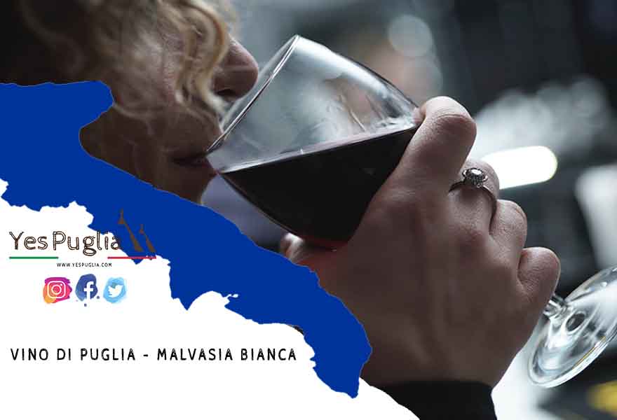 Vino Malvasia. YesPuglia.com | L'Enoteca online più innovativa di Puglia