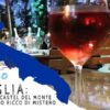 Puglia: Vino di Castel del Monte - Un luogo ricco di mistero
