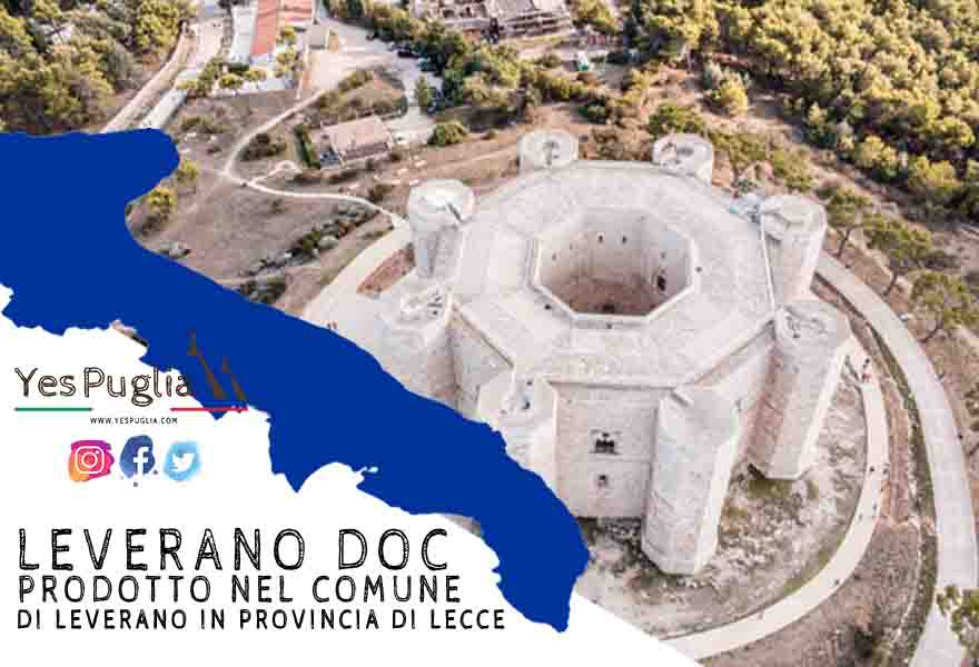 Vino Leverano Doc. YesPuglia.com L'Enoteca online più innovativa di Puglia