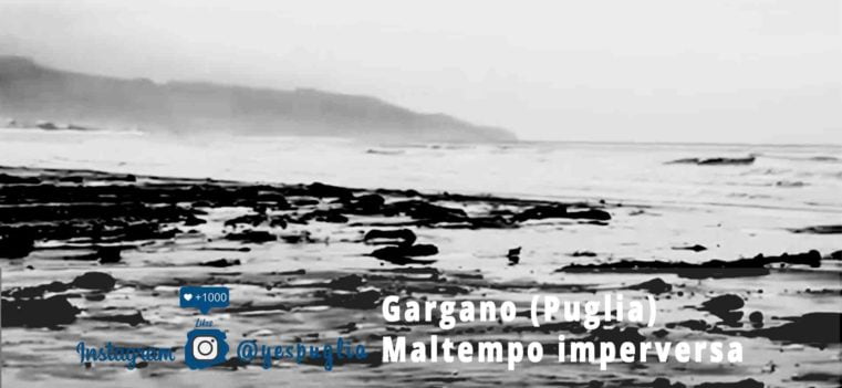 Garagano Maltempo- Yespuglia.com Enoteca Online
