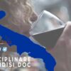 Disciplinare BRindisi Doc vino brindisi doc yespuglia.com enoteca online più innovativa di puglia