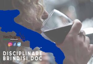 Disciplinare BRindisi Doc vino brindisi doc yespuglia.com enoteca online più innovativa di puglia