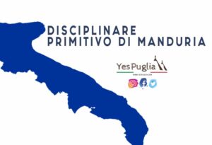 Disciplinare Primitivo di Manduria vino brindisi doc yespuglia.com enoteca online più innovativa di puglia