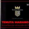 banner tenute marano by yespuglia