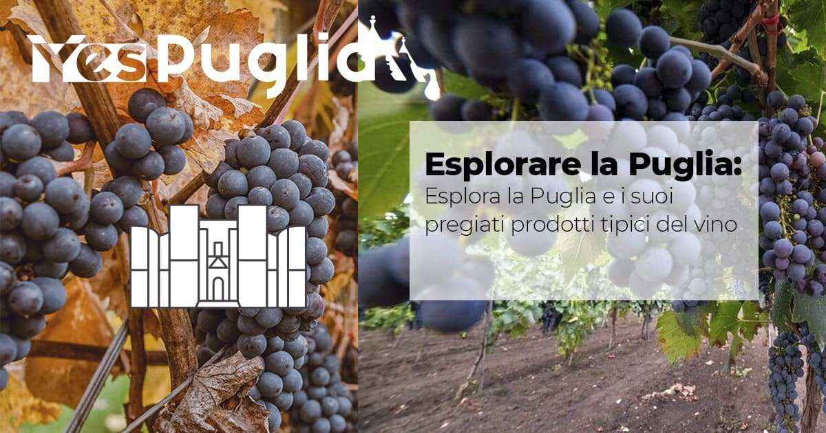 Esplora la Puglia e i suoi pregiati prodotti tipici del vino
