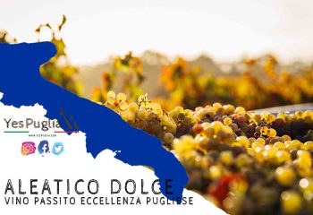 ALEATICO DOLCE. YesPuglia.com | L'Enoteca online più innovativa di Puglia