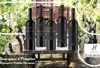 ESPLORANDO-LAUTENTICA-ESPERIENZA-DELLE-cantine-IN-PUGLIA-CON-YESPUGLIA-cantine-harmonia-manduria-sava-primitivo-di-manduria-puglia-min