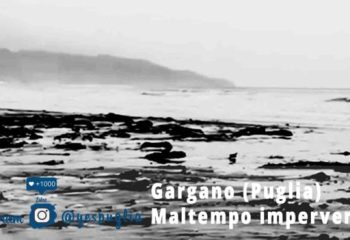 Garagano Maltempo- Yespuglia.com Enoteca Online