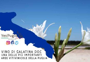 YesPuglia | L'Enoteca online più innovativa di Puglia